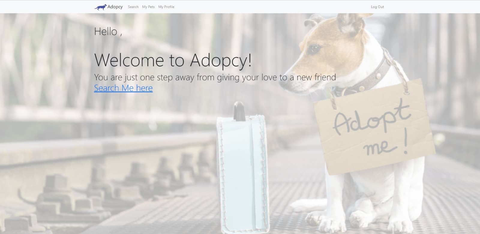 Pet Adoption App